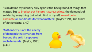 S2_1_9 authenticity ducks